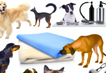 Sniffing Blanket for Dogs & Cats with Anti-Slip Base pet grooming