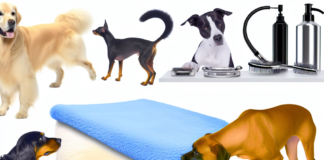 pet grooming