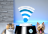 Intelligent Pet Food Bowl with Water Dispenser – WiFi Camera Feeder for Dogs & Cats pet grooming
