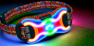 Rechargeable LED Pet Harness – Colorful Light-Up Chest Strap for Dogs & Cats pet supplies
