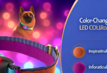 Color-Changing LED Dog Collar with Chest Braces – Anti-Pull Pet Traction Gear pet supplies