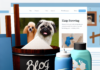 Pet Wet Wipes & Dry Gloves Set – Easy Bathing and Grooming for Pets pet supplies