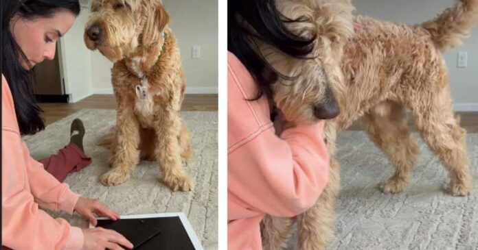 Dog Senses Mom's Pain & Comforts Her as She Breaks Down