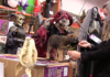 Don’t Let Your Pup Get Spooked This Halloween Don't Let Your Pup Get Spooked This Halloween