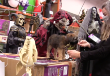 Don’t Let Your Pup Get Spooked This Halloween Don't Let Your Pup Get Spooked This Halloween