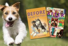 Help Every Puppy Get the Education They Deserve Help Every Puppy Get the Education They Deserve