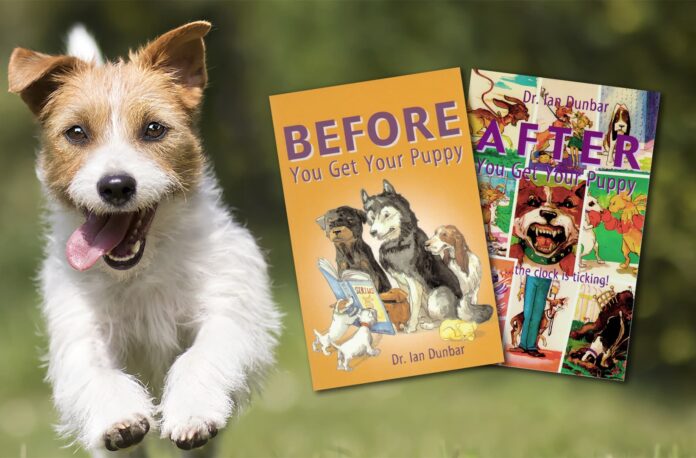 Help-Every-Puppy-Get-the-Education-They-Deserve.jpg Help Every Puppy Get the Education They Deserve