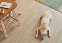 How to Protect Hardwood Floors from Dog Scratches (Without Giving Up Your Floors) How to Protect Hardwood Floors from Dog Scratches (Without Giving Up Your Floors)