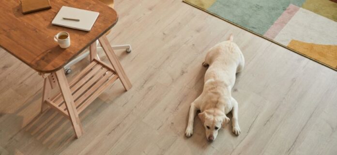 How-to-Protect-Hardwood-Floors-from-Dog-Scratches-Without-Giving.jpg How to Protect Hardwood Floors from Dog Scratches (Without Giving Up Your Floors)