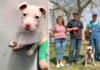 It Took A Very Big Village To Give Dozer His Happy Ending, But The Hero VIP Club Came Through It Took A Very Big Village To Give Dozer His Happy Ending, But The Hero VIP Club Came Through