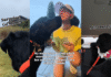 Labrador Gets His Own Time To Shine at Mom’s Marathon Labrador Gets His Own Time To Shine at Mom’s Marathon