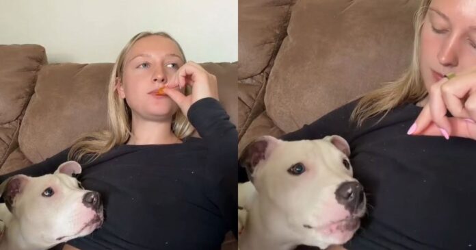 Rescue-Dog-Snacking-on-Doritos-With-Mom-Is-Healing-the.jpg Rescue Dog Snacking on Doritos With Mom Is Healing the Internet
