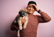 The 2 Most Common Mistakes Dog Owners Make (and How to Fix Them) The 2 Most Common Mistakes Dog Owners Make (and How to Fix Them)