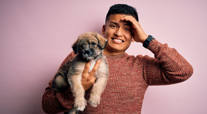 The 2 Most Common Mistakes Dog Owners Make (and How to Fix Them) The 2 Most Common Mistakes Dog Owners Make (and How to Fix Them)