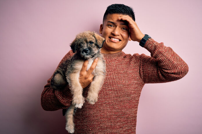 The-2-Most-Common-Mistakes-Dog-Owners-Make-and-How.jpg The 2 Most Common Mistakes Dog Owners Make (and How to Fix Them)