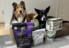 The Best Dog Dental Chews The Best Dog Dental Chews