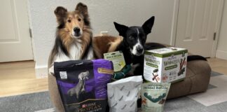 The Best Dog Dental Chews The Best Dog Dental Chews