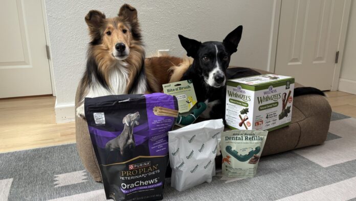 The Best Dog Dental Chews