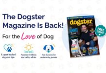 The Dogster Magazine is Officially Back! The Dogster Magazine is Officially Back!