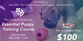 The Essential Puppy Training Course is HERE! The Essential Puppy Training Course is HERE!