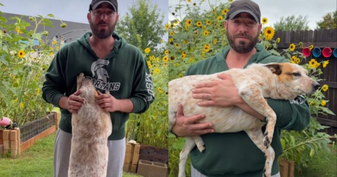 This Clever Dog Wanted To Smell the Flowers Without Getting Her Paws Wet