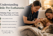 Understanding Mobile Pet Euthanasia: Helping Dogs and Cats Pass Peacefully at Home Understanding Mobile Pet Euthanasia
