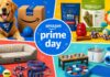 Why Wait? These Early Amazon Prime Days Dog Deals Are Already Live Why Wait? These Early Amazon Prime Days Dog Deals Are Already Live
