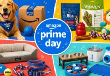 Why Wait? These Early Amazon Prime Days Dog Deals Are Already Live Why Wait? These Early Amazon Prime Days Dog Deals Are Already Live