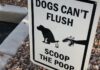 A Guide to Managing Dog Poop A Guide to Managing Dog Poop