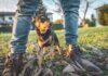 Do Dogs Smell Fear? – Whole Dog Journal Do Dogs Smell Fear? - Whole Dog Journal