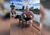 Epileptic Dog Missing After Monsoon Rescued From Canal by Firefighters Epileptic Dog Missing After Monsoon Rescued From Canal by Firefighters