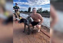 Epileptic Dog Missing After Monsoon Rescued From Canal by Firefighters Epileptic Dog Missing After Monsoon Rescued From Canal by Firefighters
