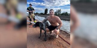 Epileptic Dog Missing After Monsoon Rescued From Canal by Firefighters Epileptic Dog Missing After Monsoon Rescued From Canal by Firefighters