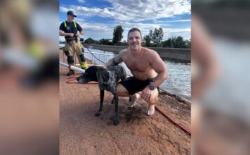 Epileptic Dog Missing After Monsoon Rescued From Canal by Firefighters Epileptic Dog Missing After Monsoon Rescued From Canal by Firefighters
