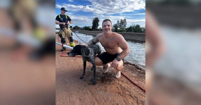 Epileptic-Dog-Missing-After-Monsoon-Rescued-From-Canal-by-Firefighters.jpg Epileptic Dog Missing After Monsoon Rescued From Canal by Firefighters