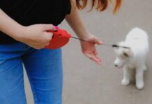 Fixing Your Retractable Dog Leash: A Step-by-Step Guide Fixing Your Retractable Dog Leash: A Step-by-Step Guide