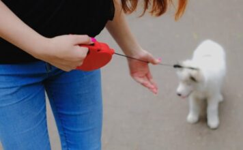 Fixing Your Retractable Dog Leash: A Step-by-Step Guide Fixing Your Retractable Dog Leash: A Step-by-Step Guide