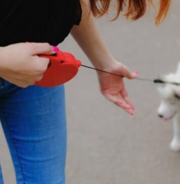 Fixing Your Retractable Dog Leash: A Step-by-Step Guide Fixing Your Retractable Dog Leash: A Step-by-Step Guide