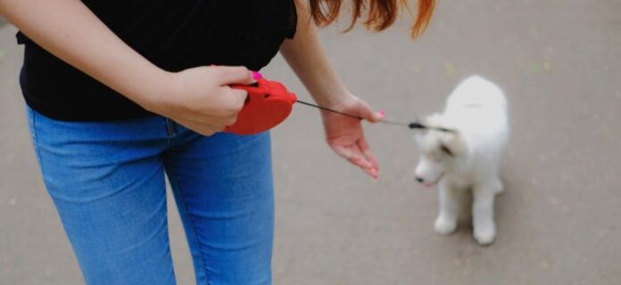 Fixing-Your-Retractable-Dog-Leash-A-Step-by-Step-Guide.jpg Fixing Your Retractable Dog Leash: A Step-by-Step Guide