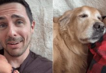 Golden Retriever Is Practically Attached to Baby During Their Joint Naptime Golden Retriever Is Practically Attached to Baby During Their Joint Naptime