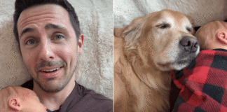 Golden Retriever Is Practically Attached to Baby During Their Joint Naptime Golden Retriever Is Practically Attached to Baby During Their Joint Naptime