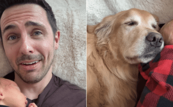 Golden Retriever Is Practically Attached to Baby During Their Joint Naptime Golden Retriever Is Practically Attached to Baby During Their Joint Naptime