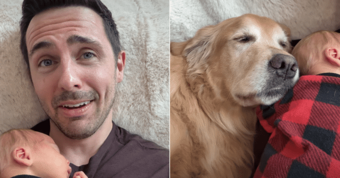 Golden-Retriever-Is-Practically-Attached-to-Baby-During-Their-Joint.png Golden Retriever Is Practically Attached to Baby During Their Joint Naptime
