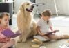 How Class Pets Empower Children to Enhance Learning Habits How Class Pets Empower Children to Enhance Learning Habits