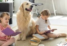 How Class Pets Empower Children to Enhance Learning Habits How Class Pets Empower Children to Enhance Learning Habits