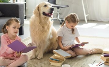 How Class Pets Empower Children to Enhance Learning Habits How Class Pets Empower Children to Enhance Learning Habits