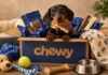 If Your Dog Could Shop on Chewy, Here’s What They’d Buy If Your Dog Could Shop on Chewy, Here's What They'd Buy