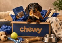 If Your Dog Could Shop on Chewy, Here’s What They’d Buy If Your Dog Could Shop on Chewy, Here's What They'd Buy