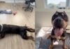 Rescue Dog Once a Stray Chooses the Floor Over the Bed & Makes Human Realize the Sad Truth Rescue Dog Once a Stray Chooses the Floor Over the Bed & Makes Human Realize the Sad Truth