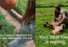 Rescue Dog Used To Play Alone Until Human Changed Everything, but His Journey Isn’t Over Yet Rescue Dog Used To Play Alone Until Human Changed Everything, but His Journey Isn’t Over Yet
